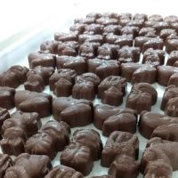 Suzin L. Chocolatier ico