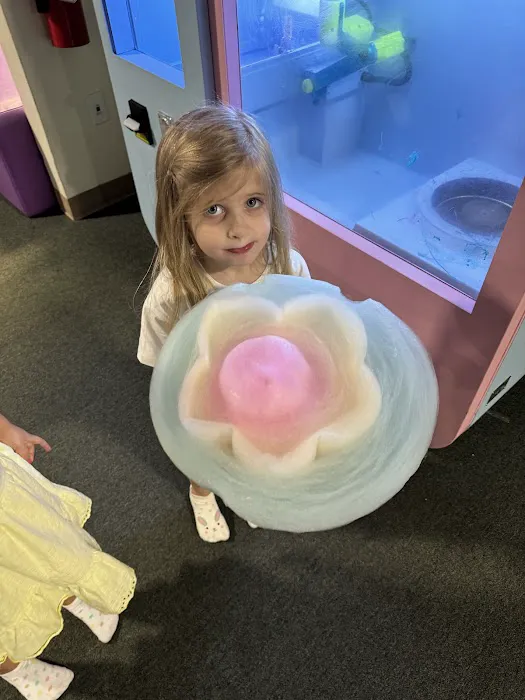 Cotton Candy PDK Playground Picture 2