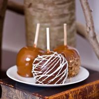 Northwoods Candy Emporium ico