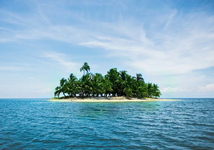 Island Delights, Inc. Picture 1