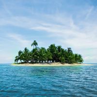 Island Delights, Inc. ico