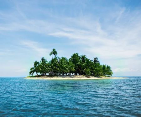Island Delights, Inc.