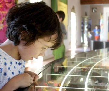 The Sweetest Candy Museums in the U.S. – A Guide to Sweet Experiences