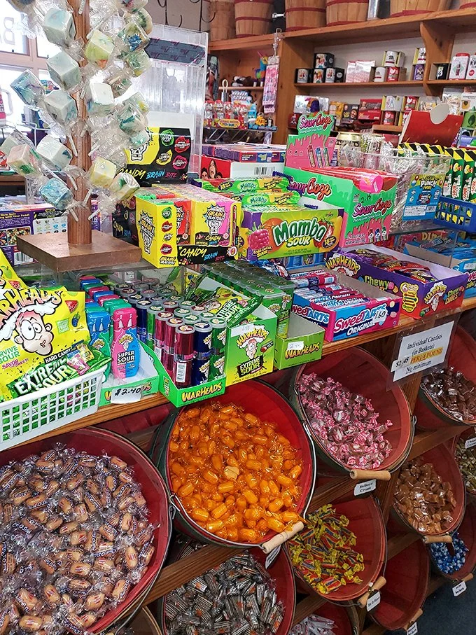 Exploring Retro Candy Shops in California