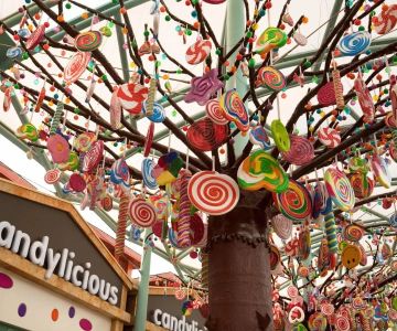 Exploring the Sweetest Candy Shops in San Diego